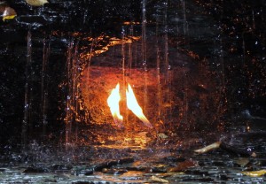 Close-up of Eternal Flame at Chestnut Ridge Park, NY