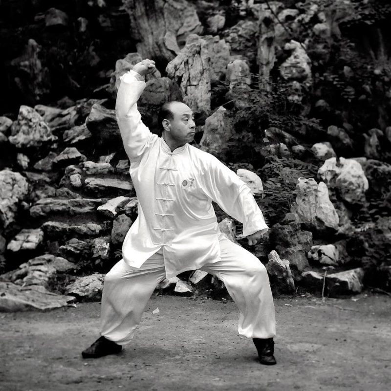 Master Wang Anlin Wenshengquan performing Kung Fu