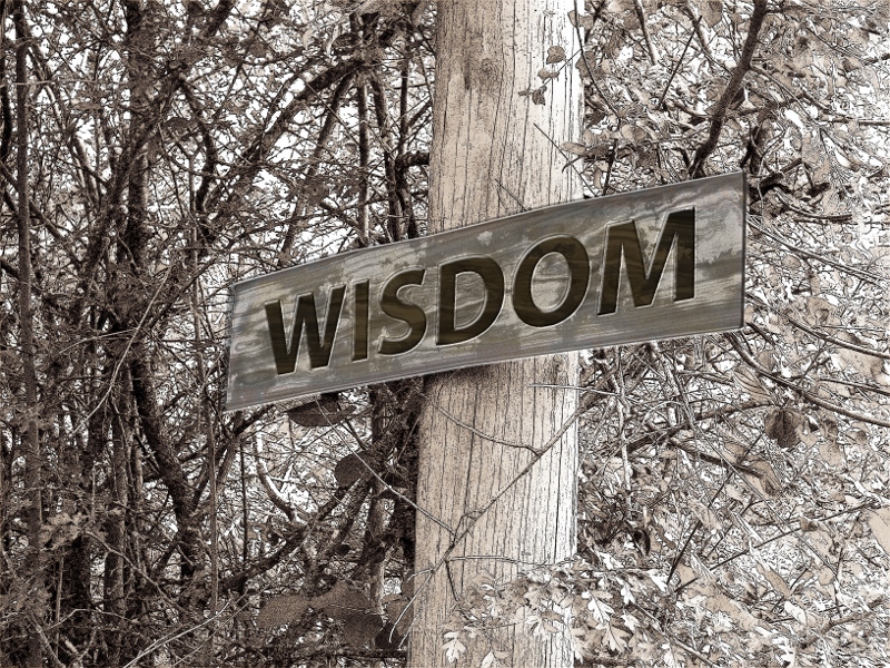 Fortune Cookie Friday: Get Wisdom