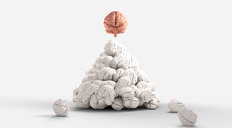 A pile of brains