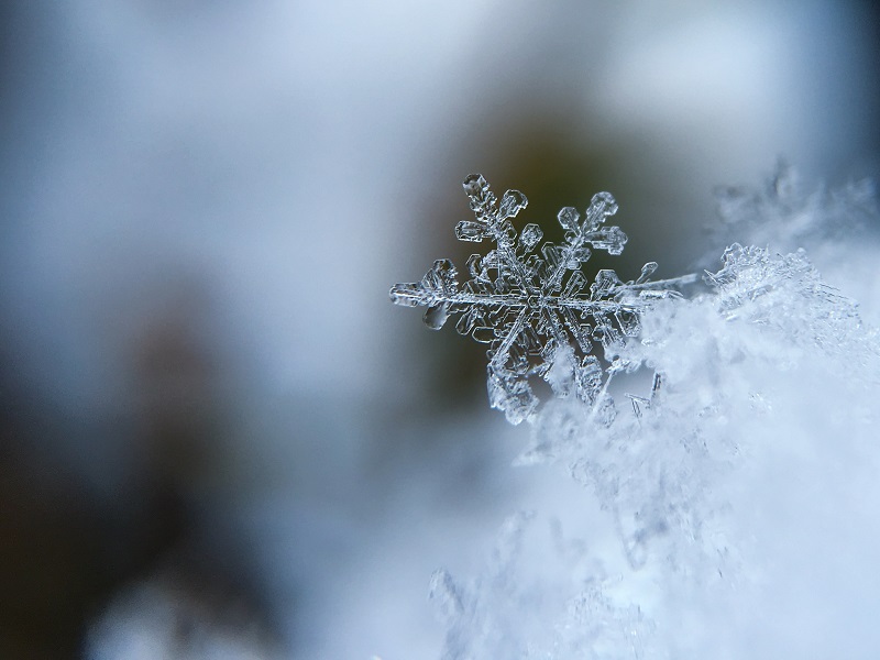 Fortune Cookie Friday: Potential of a Snowflake