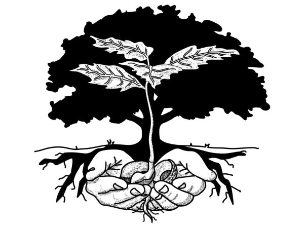 Oak Life