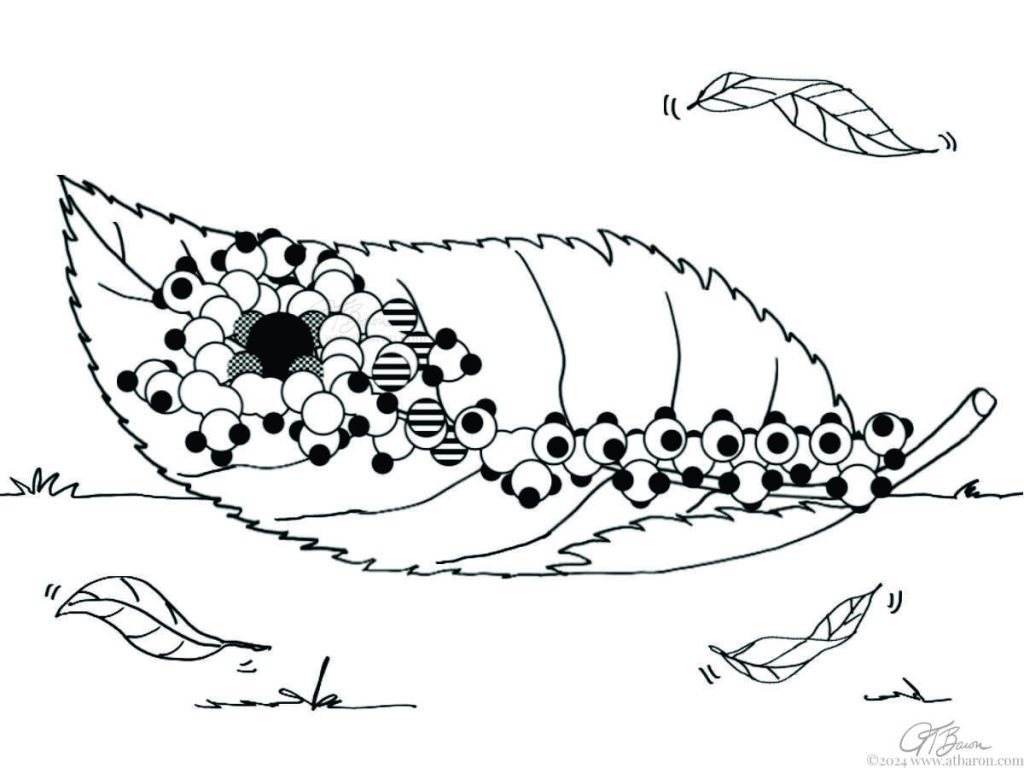 Chlorophyll on Leaf ©2024 A. T. Baron