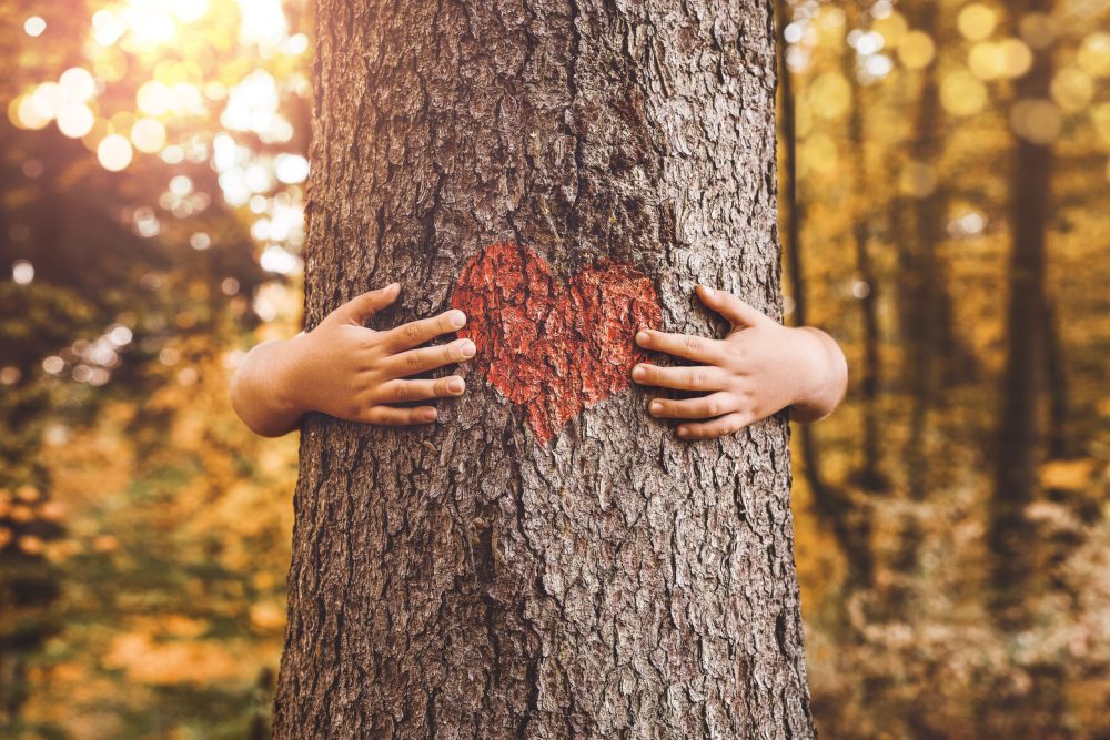 Child's hands hugging a tree with a red heart painted on its trunk, surrounded by a sunlit forest with a warm, golden autumn atmosphere.