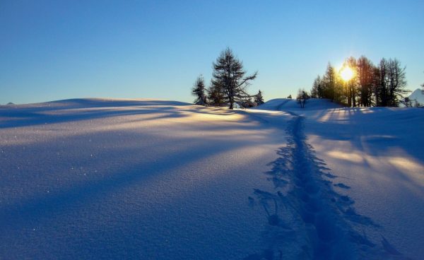 A snowy landscape with deep footprints leading through fresh snow toward trees. The sun is low on the horizon, casting long shadows and a warm light across the scene. The sky is clear and blue.