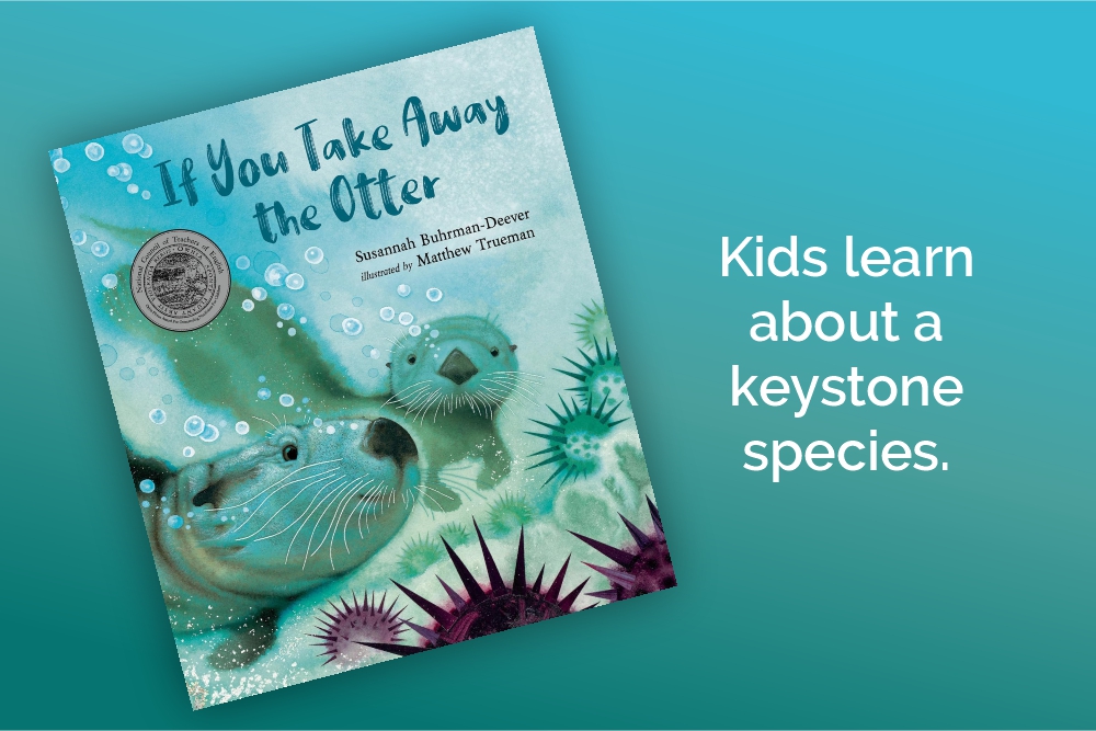Why This Sea Otter Book Belongs in Every Elementary Classroom