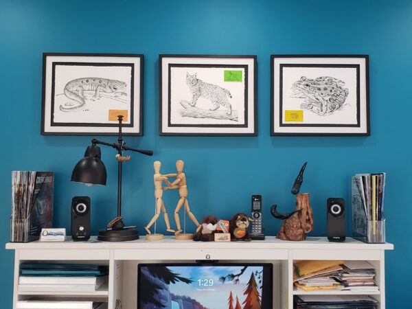 A blue wall with three framed animal sketches above a shelf holding speakers, books, art mannequins, a lamp, masks, figurines, and a monitor displaying a forest scene.